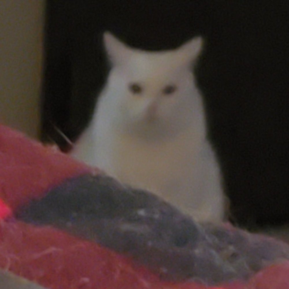 My son